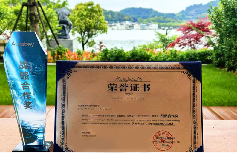   喜報(bào)：江蘇海龍榮獲吉利汽車2024年度供應(yīng)商“戰(zhàn)略合作獎(jiǎng)”？